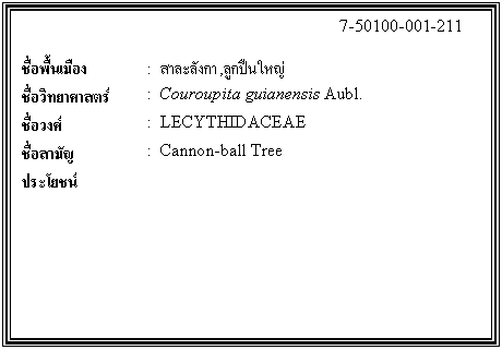 กล่องข้อความ: 7-50100-001-211 ชื่อพื้นเมือง : สาละลังกา,ลูกปืนใหญ่ ชื่อวิทยาศาสตร์ : Couroupita guianensis Aubl. ชื่อวงศ์ : LECYTHIDACEAE ชื่อสามัญ : Cannon-ball Tree ประโยชน์
